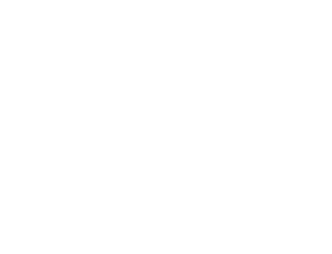 Reviant-11